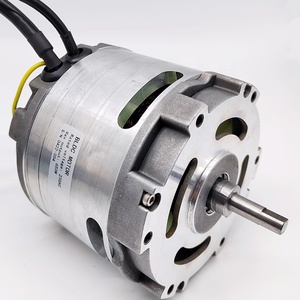 Ito giảm tiếng ồn 12V 24V 36V 110V 220V không chổi than DC điện thuyền đi giỏ hàng BLDC động cơ - Product Image 1