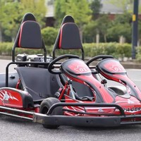 Kart à pédales tout-terrain 270cc 212cc compétitif pour adultes, grande voiture de course à dérive, volant pour enfants, biplace