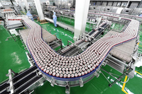 Línea de Llenado de Agua Carbonatada Escalable de 12000 Latas por Hora con Sistema de Carbonatación de CO2 para Latas de 0-500 ml