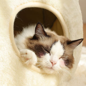 Cama de Lujo para Mascotas con Diseño de Rana de Dibujos Animados, Cómoda Cueva de Felpa para Cachorros, Casa Redonda Pequeña para Gatos y Perros - Product Image 6