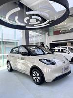 Nouvelle Version 2026 Wuling Binguo 204km Mini Voiture Électrique Adulte Volant à Gauche 5 Portes 4 Places