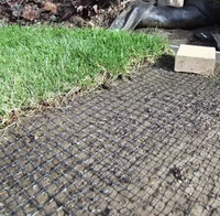 Filet de clôture de jardin en plastique PP BOP robuste |   Protection contre les oiseaux et les taupes, résistante aux UV, découpe sur mesure pour pelouses, cultures et champs