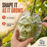 Moule de culture de citrouille visage de sorcière d'Halloween, en plastique transparent, deux pièces, pour la création de fruits artificiels, projets de jardinage DIY, décorations saisonnières, lot de deux