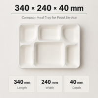 Assiette à 6 compartiments 100 % compostable en bagasse de canne à sucre, plateau repas jetable biodégradable pour cantine scolaire et restauration
