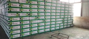 Haute qualité Chine mousse florale sphère fleur décoration usine petits arrangements floraux - Product Image 5