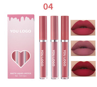 Coffret de Rouge à Lèvres Liquide Mat Longue Tenue Sans Logo, Imperméable, Non-Adhésif, Certifié CE, Série Princesse 5g