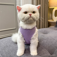 Vêtement de récupération post-opératoire pour chat, respirant, anti-léchage, pour chatons stérilisés, avec nœud ajustable, vente en gros