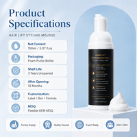 Fabricant professionnel de mousse coiffante avec formule volume et lift des racines pour les marques de salons