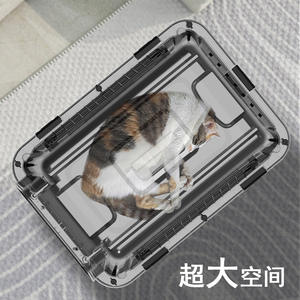 Yeni Pet ürünleri 2025 IATA plastik tasarımcı siyah evcil hayvan taşıyıcı ve seyahat kasalar kulübesi - Product Image 3