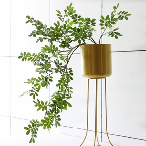 Feuillage de glycine artificiel réaliste, branche de plante verte parfumée avec feuille de pistache <span class=keywords><strong>pour</strong></span> la décoration intérieure, l'ameublement et la décoration artistique de fenêtre - Product Image 4