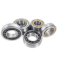 Roulement à rouleaux cylindriques NF205 N/NJ/NU/NUP/NF205E/EM 25*52*15 pour presse à poinçonner, machine à rectifier, machines textiles