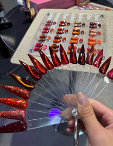Vernis à ongles en gel de haute qualité 12ml Gel UV Ensemble complet 16 couleurs rouges Vernis à ongles en gel pour les yeux de chat Marque privée Professionnel pour l'art des ongles - Product Image 2
