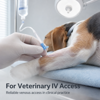 Set de perfusion vétérinaire à ailettes, cathéter IV FEP avec ailettes fixes, aiguille papillon pour animaux 18G 20G 22G 24G 26G pour hôpital vétérinaire