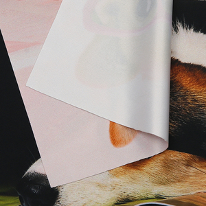 Panno <span class=keywords><strong>per</strong></span> la <span class=keywords><strong>Pulizia</strong></span> degli Occhiali Personalizzato con Logo Stampato in Microfibra <span class=keywords><strong>per</strong></span> Occhiali Carini - Product Image 3