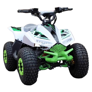 Cuatrimoto Infantil 2WD de Cuatro Tiempos, Construcción Portátil de Acero, Motor de 110cc con Transmisión Automática por Cadena para Todoterreno - Product Image 6