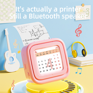 Imprimante d'étiquettes sans fil D20 Inkless BT Thermal Label Maker Adhesive Label Sticker Machine Panel Pattern MP3 Music Player - Product Image 6