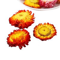 Grosir kualitas tinggi Qi Cai Ju kering pelangi krisan teh Bracteantha Bracteata bunga teh Strawflower