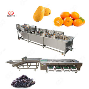 Máquina clasificadora de lavado de frutas y verduras con sistemas de detección de rayos X Lavadora eléctrica de frutas por lotes - Product Image 5