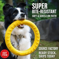 Jouet pour chien en EVA, anneau résistant aux morsures, frisbee souple pour animaux de compagnie, anneau de traction et ensemble de balles d'entraînement, jouets à mâcher non toxiques pour grands chiens