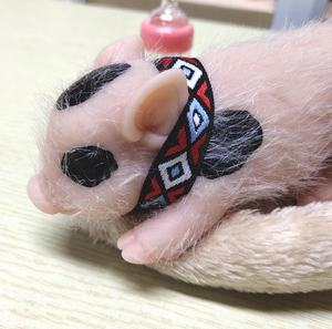 R & B-Mini muñeca realista de bebé <span class=keywords><strong>Reborn</strong></span> de silicona pura, Rosa suave, con gorro de pelo, nuevo diseño - Product Image 5