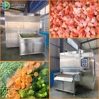 Congélateur tunnel IQF spécial FOODLINE pour crème glacée, machine de congélation rapide par soufflage continu, structure anti-fissuration basse température