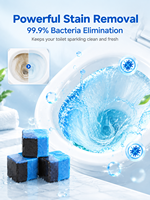 Tablettes nettoyantes solides pour réservoir de toilettes, personnalisables, 2 pièces, écologiques, désinfectantes, désodorisantes