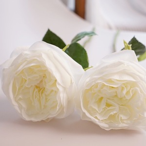 O-X3042 di alta qualità vero e proprio tocco Rose finte con una grande testa bianco rosso avorio fiori di rosa artificiale in lattice di seta <span class=keywords><strong>fiore</strong></span> di rosa - Product Image 5