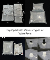 Sac en boîte (BIB) 1L 2L 3L 5L avec robinet, emballage transparent de qualité alimentaire pour détergent et recharge de savon liquide