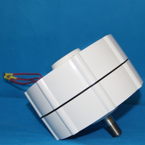 Generador Sincrónico de Imán Permanente Trifásico sin Engranajes de 600W 12/24/48V para Turbina Eólica - Product Image 4