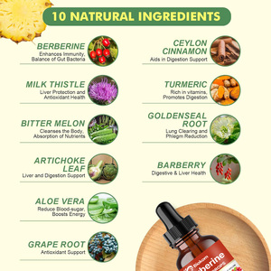 Gotas líquidas de berberina de fórmula personalizada con canela de Ceilán, melón amargo, agracejo, cardo mariano, raíz de sello dorado y cúrcuma - Product Image 3