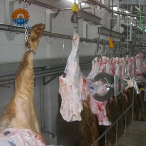 Équipement d'abattage de bétail <span class=keywords><strong>halal</strong></span> de qualité industrielle, personnalisable avec garantie d'un an pour l'utilisation par les boucherons dans l'abattoir - Product Image 6