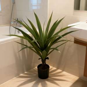 Décoration de salon, plante artificielle d'agave de haute qualité, <span class=keywords><strong>cactus</strong></span> ananas décoratif d'intérieur - Product Image 5