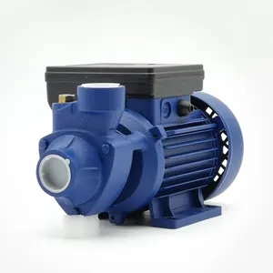 RUIQI 0.6HP/0.75KW Manufacturer Price IDB-40 Peripheral Pump Pompe Clean Water Pump Bombas Pompa