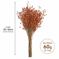 UKIQUEEN Baies de cynorrhodon préservées pour arrangements floraux de mariage, décoration intérieure et créations de couronnes