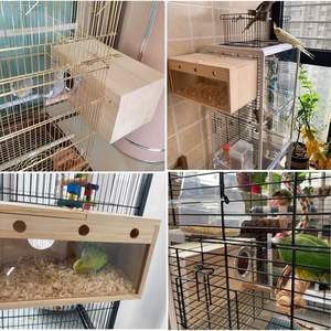 Parakeet yuvalama kutusu şeffaf kuş yetiştiriciliği kutusu doğal ahşap kuş kafesi - Product Image 2