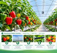 Système hydroponique en coupelles filetées pour serres agricoles