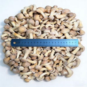 <span class=keywords><strong>Prix</strong></span> de gros IQF Champignons Nameko surgelés en vrac Biologique Sain Naturel 100% Nameko surgelé avec vente directe d'usine - Product Image 5