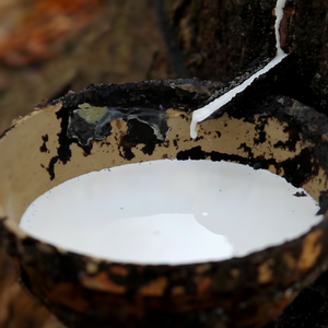 Qualité supérieure 60% DRC Latex Rubber Meilleur prix pour les applications adhésives de chaussures et de gants - Product Image 1