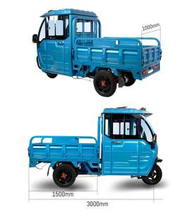 2025 по лучшей цене, трехколесный электровелосипед с 1000 ватт, трехколесный электровелосипед премиум класса с крышей, лучший Электрический трехколесный велосипед - Product Image 5