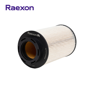 RAEXON RF010405 Elemen Filter Bahan Bakar Mesin Berkualitas Tinggi Baru untuk SINOTRUK MC06 07 09 Kertas Filter Ukuran OE - Product Image 1