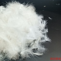 Vente en gros de doudoune en velours d'oie grise Produit de haute qualité avec matériau extérieur en velours et rembourrage en duvet