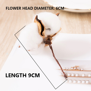 Branche de <span class=keywords><strong>fleurs</strong></span> séchées en coton naturel, accessoires photo, décoration douce pour la maison nordique, fond de <span class=keywords><strong>bouquet</strong></span> de <span class=keywords><strong>fleurs</strong></span> séchées, frais. - Product Image 3