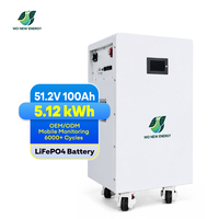 Batterie solaire haute capacité 5kWh 10kWh 15kWh LiFePO4 51.2V empilable avec BMS CE pour stockage d'énergie domestique hors réseau