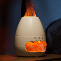 Offre Spéciale 200ml lampe au sel de l'Himalaya diffuseur d'air cristal pierre 3D flamme humidificateur d'air garantie d'un an