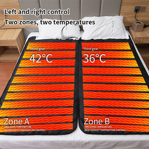 Usine en gros USB <span class=keywords><strong>matelas</strong></span> chauffant infrarouge lointain <span class=keywords><strong>matelas</strong></span> à ions négatifs 24V couvertures chauffantes pour l'hiver king size - Product Image 2