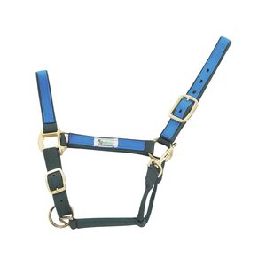 Cabestro para caballos para el cuidado diario, práctica de equitación y aplicaciones de cuidado en establos, eficiente - Product Image 6