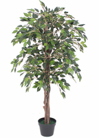 Cycar artificiel au toucher réaliste, arbres vert, cèdre avec coffre en bois naturel