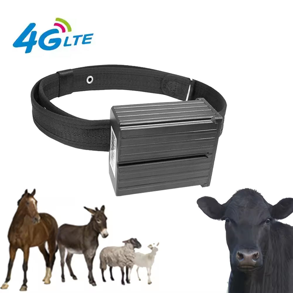 Animal GPS Tracker for Camel Durable Waterproof