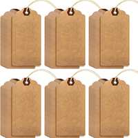 100 étiquettes cadeaux en papier vierges grandes avec ficelle et œillet renforcé, étiquettes d'expédition, étiquettes de prix inscriptibles, étiquettes d'inventaire
