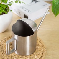 Arrosoir miniature en acier inoxydable personnalisé, très vendu, pour plantes d'intérieur